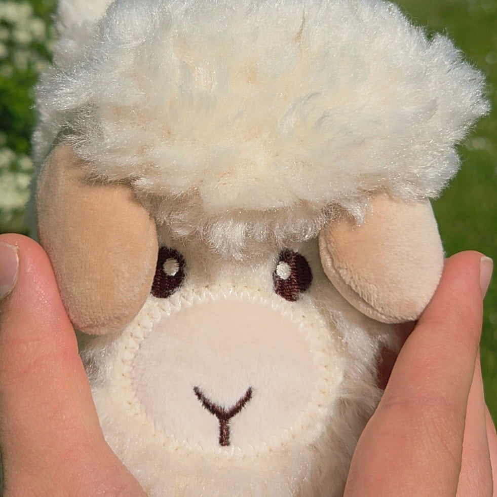 Woolly Hugs